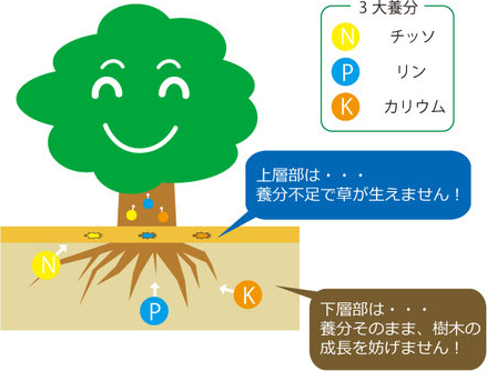 草が生えない理由